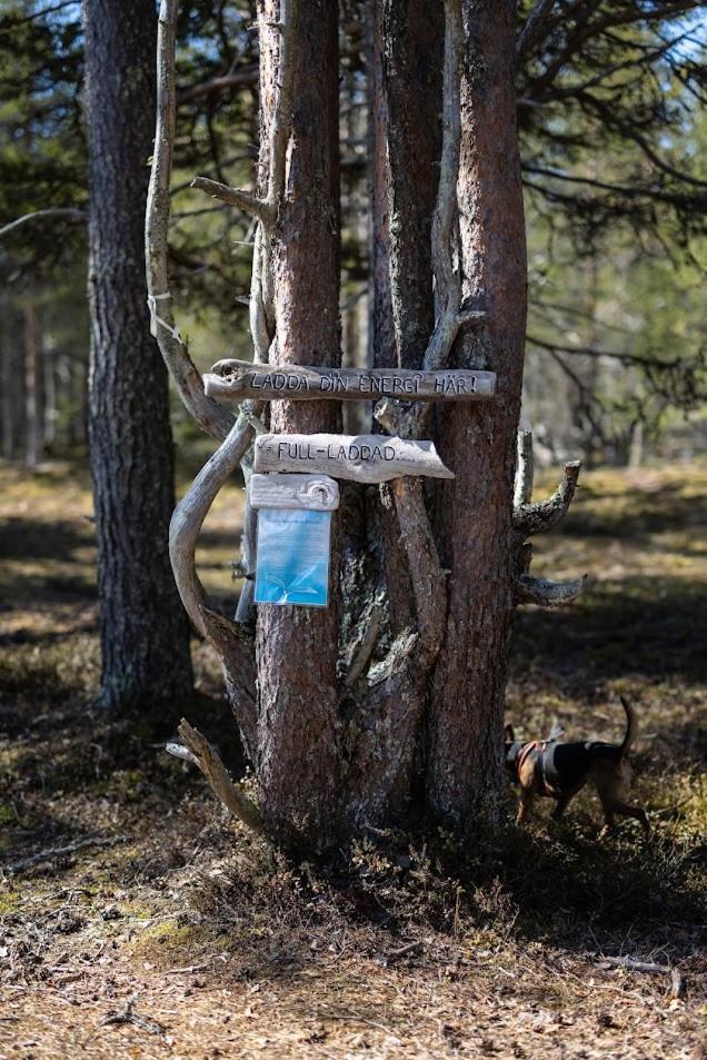 Nordic Lapland Frevisoeren Hotel Batskarsnas ภายนอก รูปภาพ